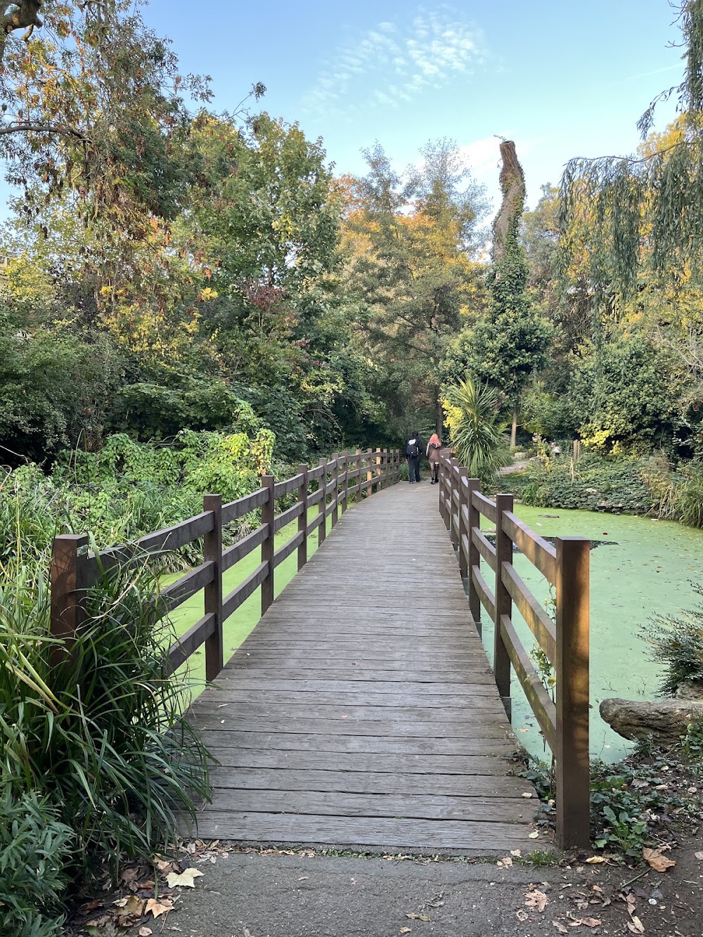 Estuary Walk