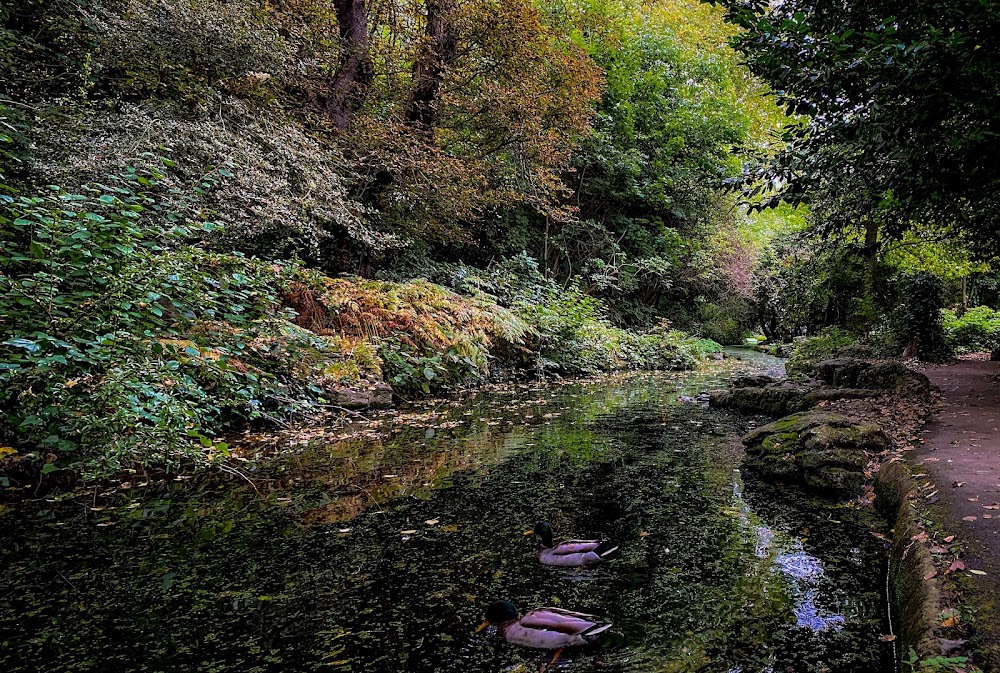 Estuary Walk photo 2