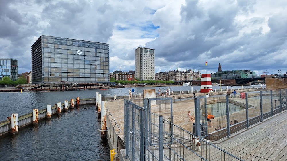 Evening Stroll on Islands Brygge