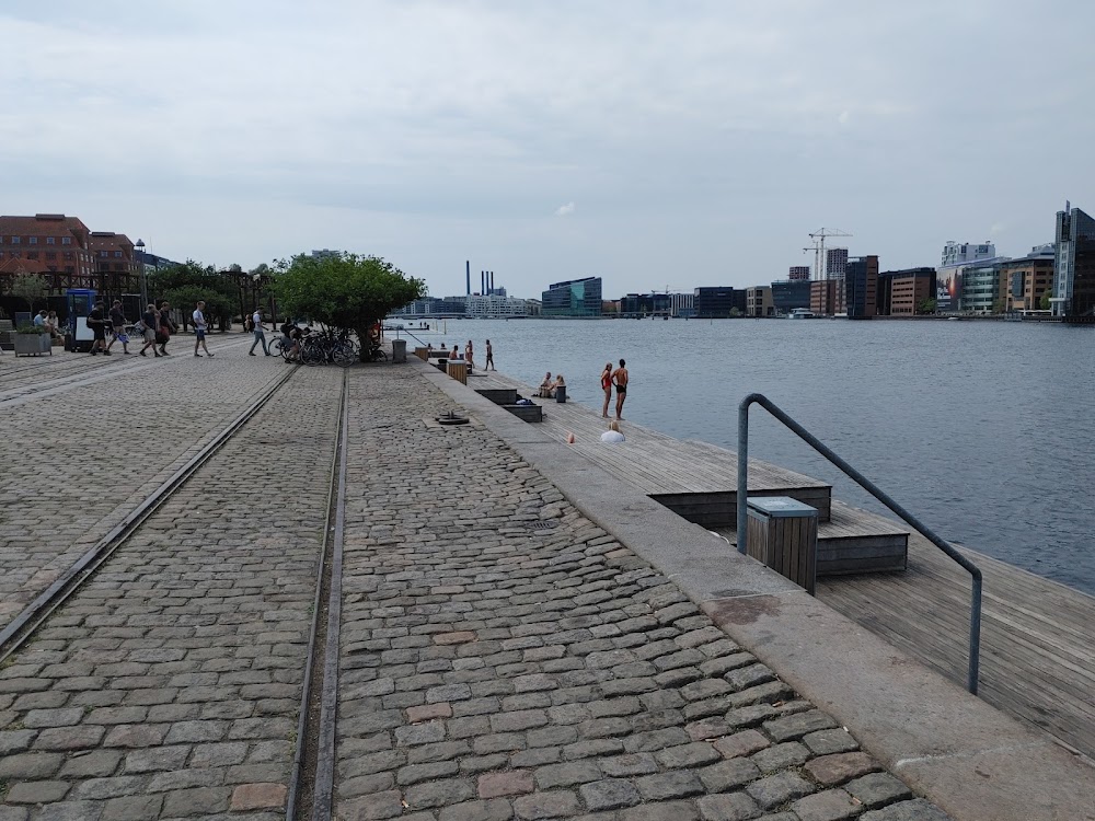 Evening Stroll on Islands Brygge photo 3