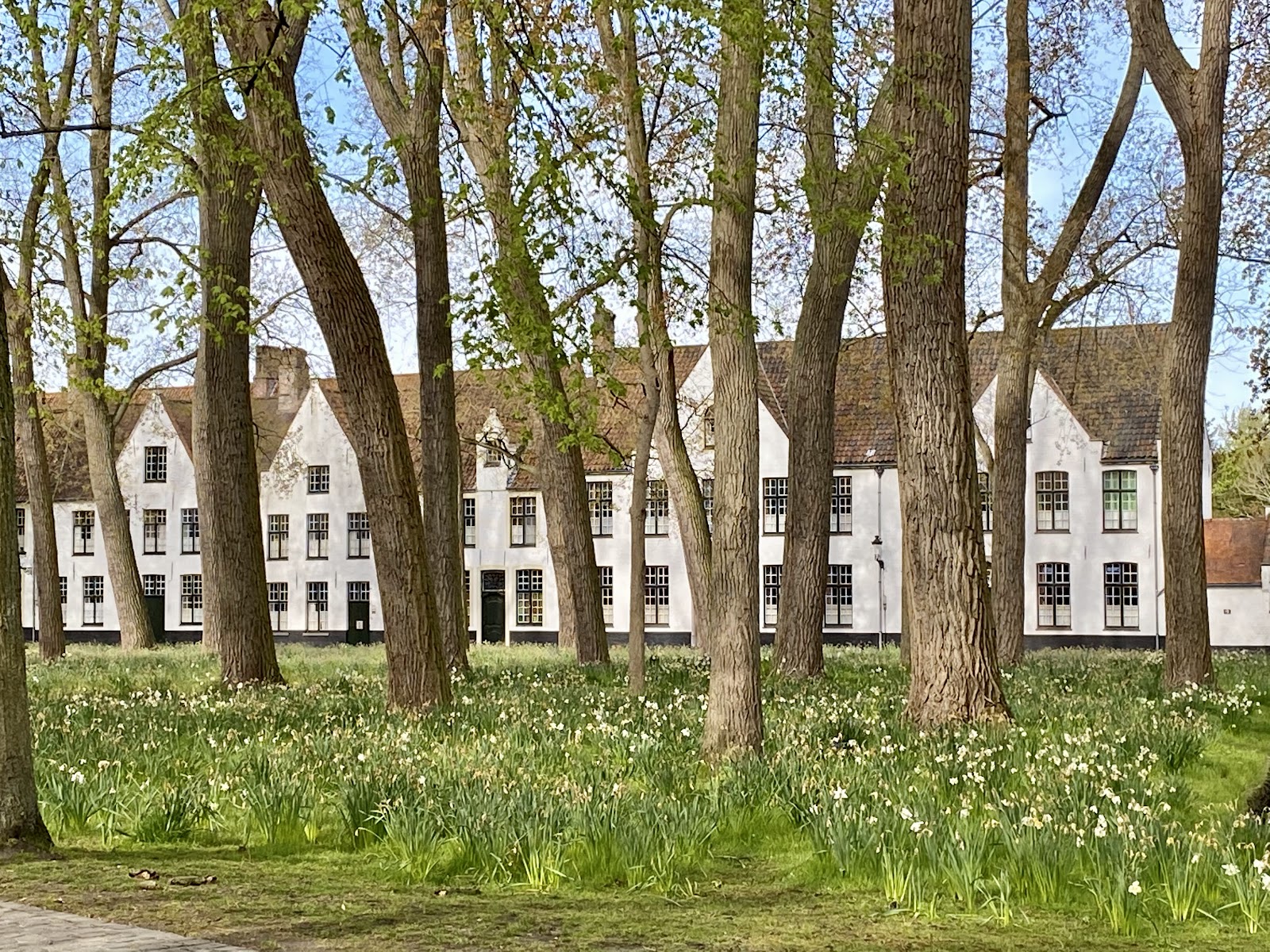 Beguinage "Ten Wijngaerde"
