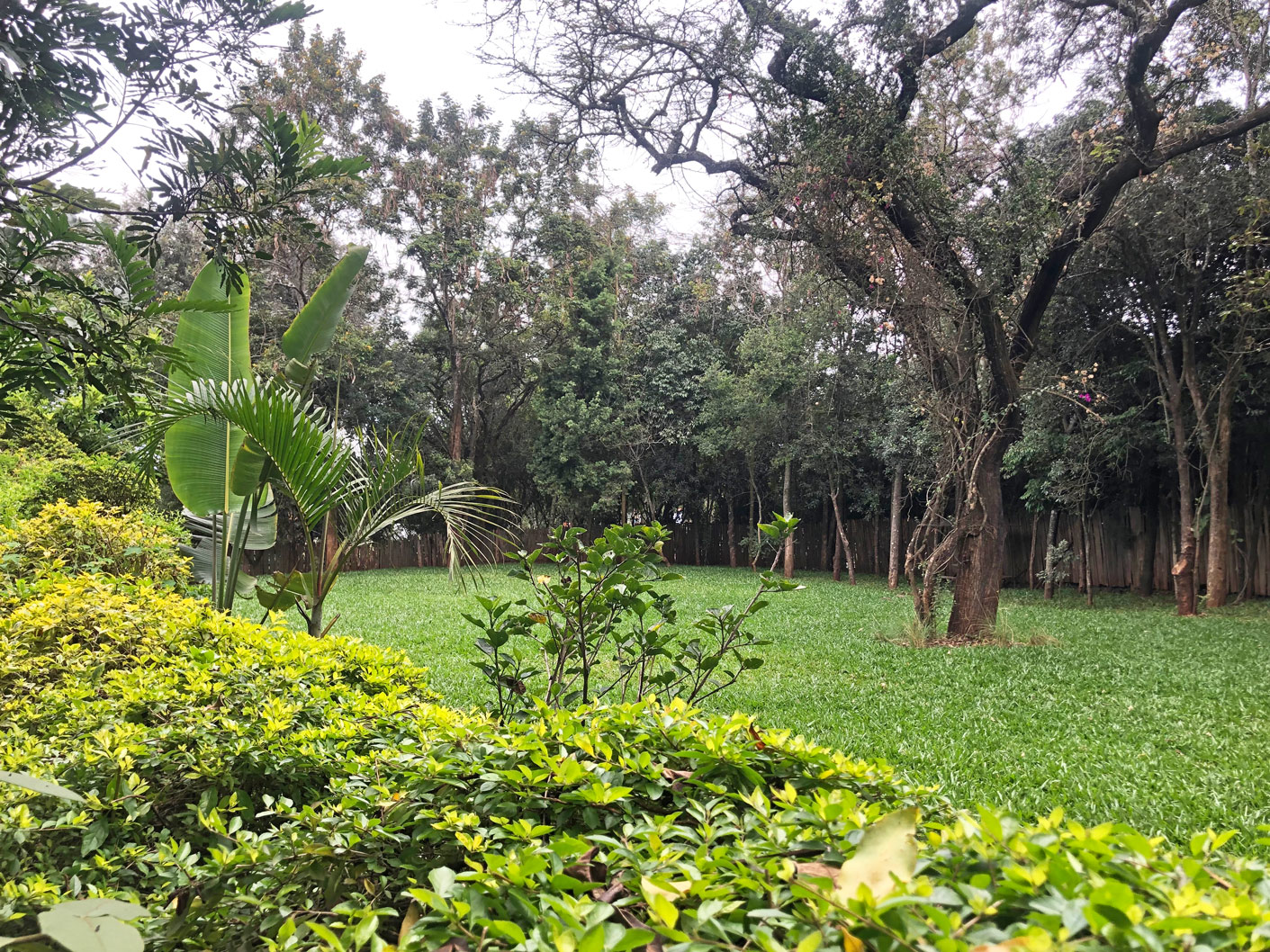 Lang'ata Botanical Gardens