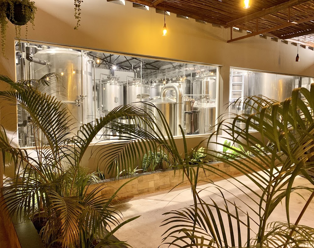 Crafty D's Brewing Co.