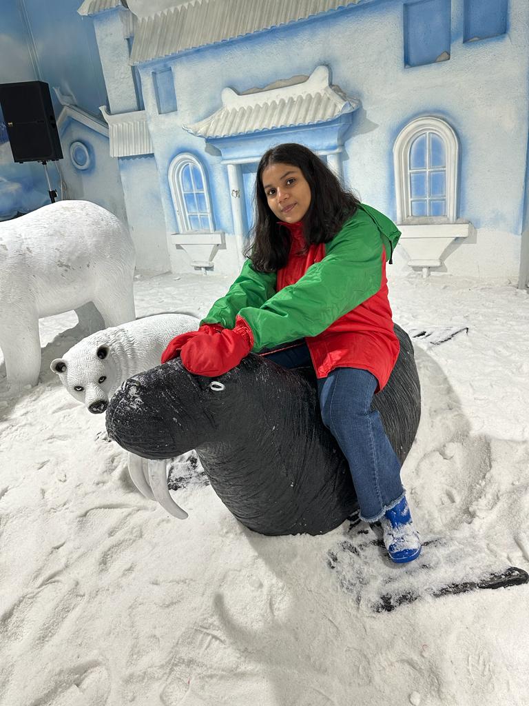 Snow Kingdom (Mumbai) photo 3