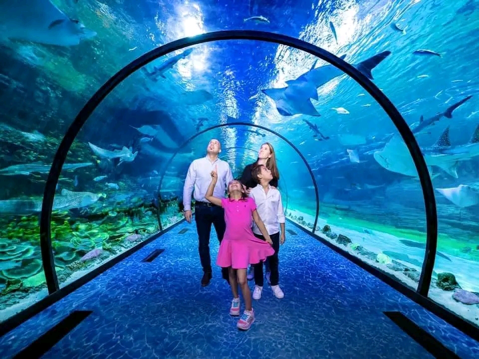 National Aquarium