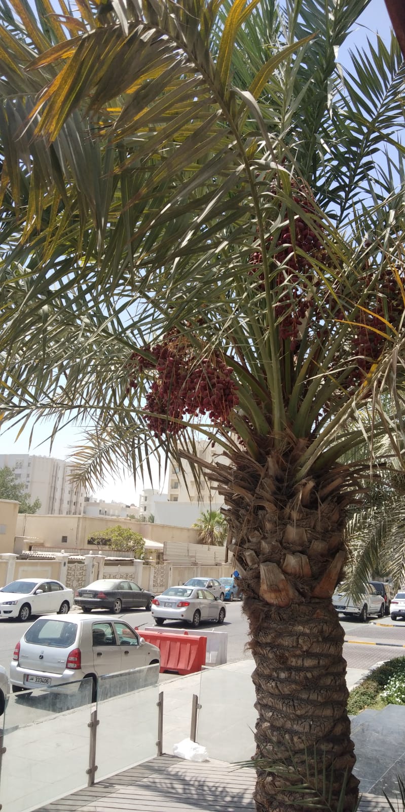 Al Zubarah Fort
