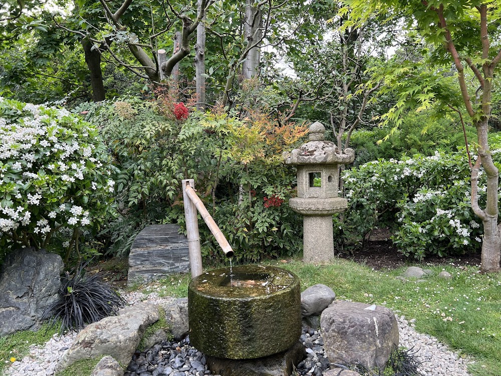 Kyoto Garden, Holland Park photo 3