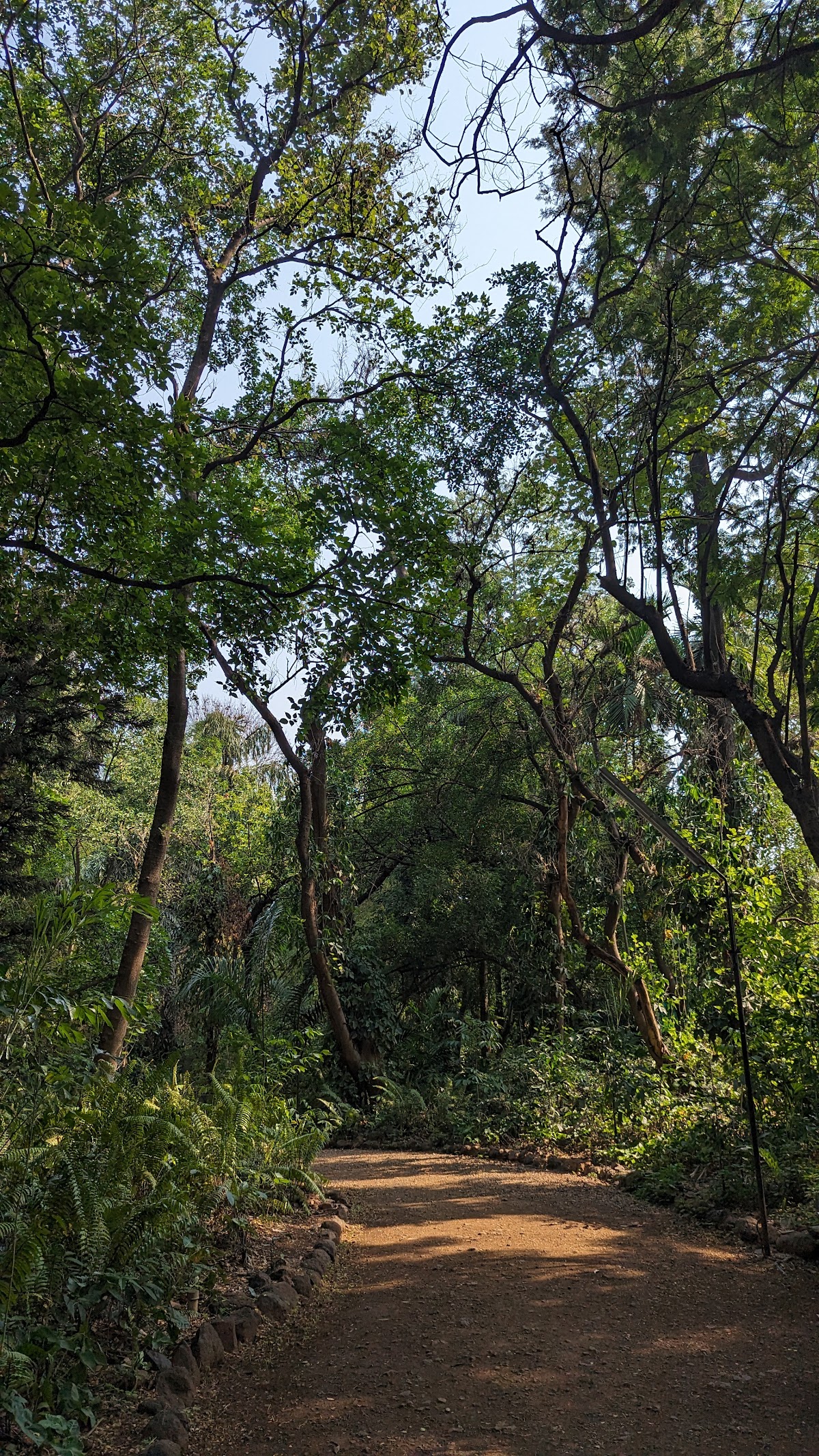 Osho Teerth Park