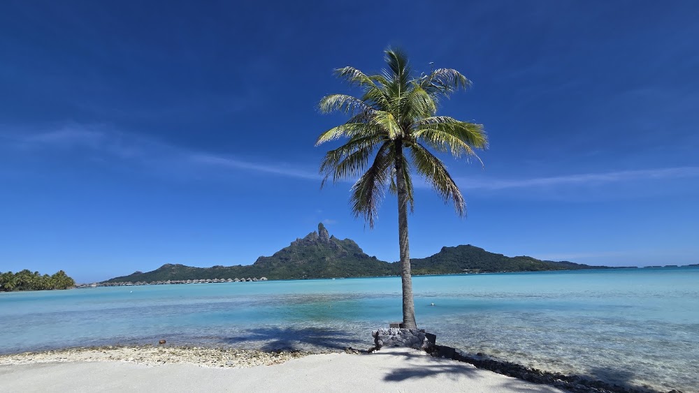 Bora Bora Pearl Farm