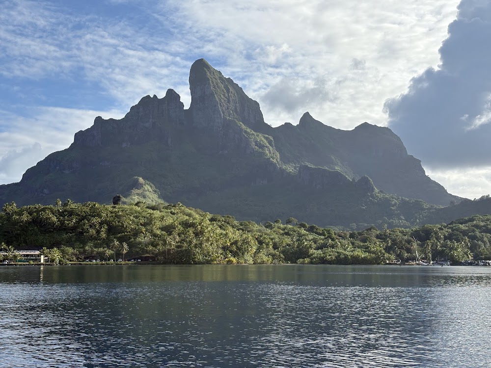 Bora Bora Pearl Farm photo 3