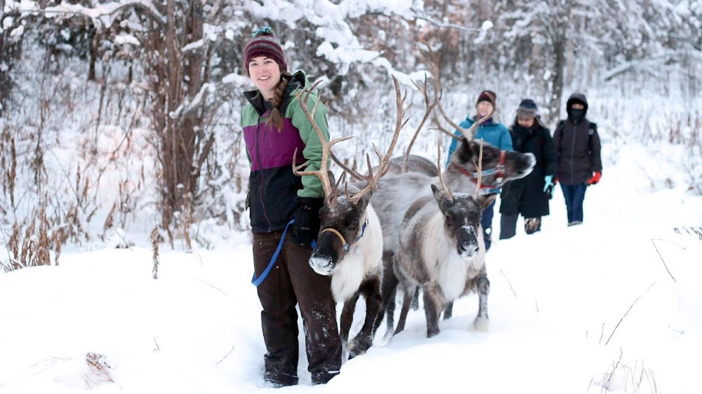 Running Reindeer Ranch