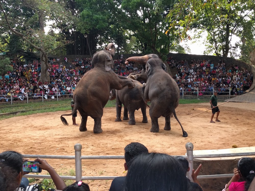 Dehiwala Zoological Garden