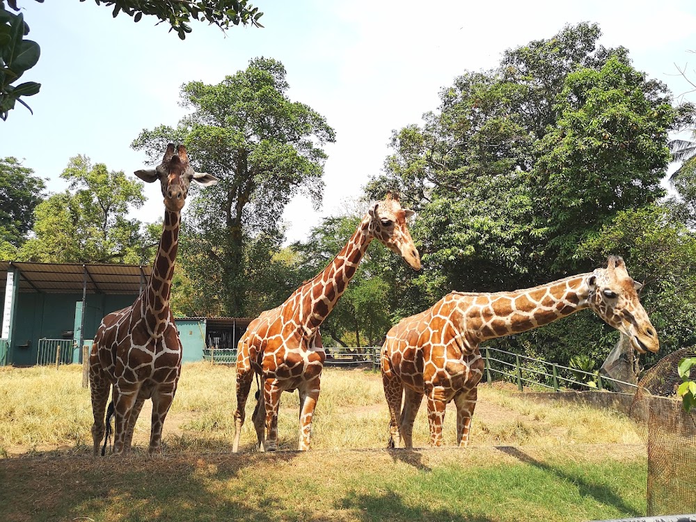 Dehiwala Zoological Garden photo 3