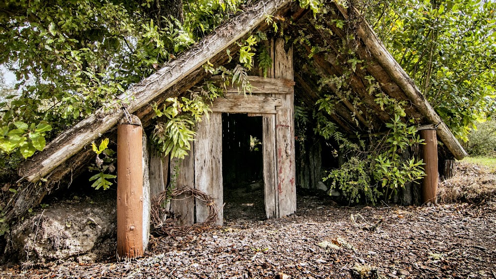 Buried Village of Te Wairoa