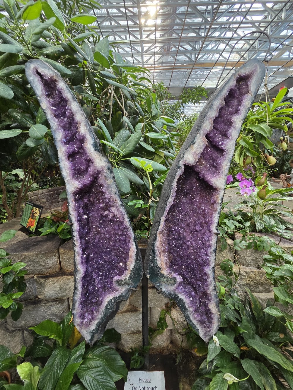 The Butterfly Palace & Rainforest Adventure photo 3