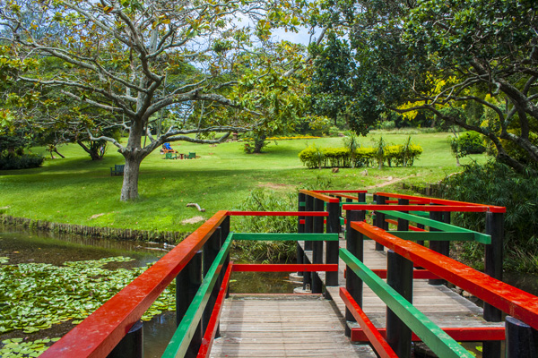 Japanese Gardens