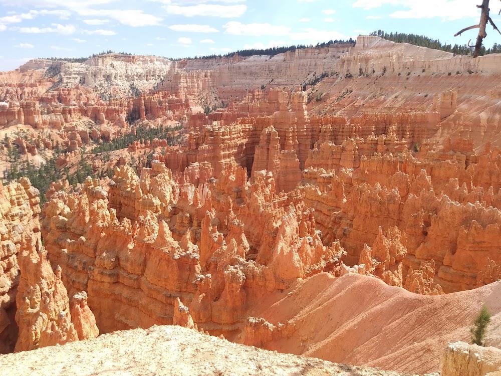 Natural Bridge photo 2