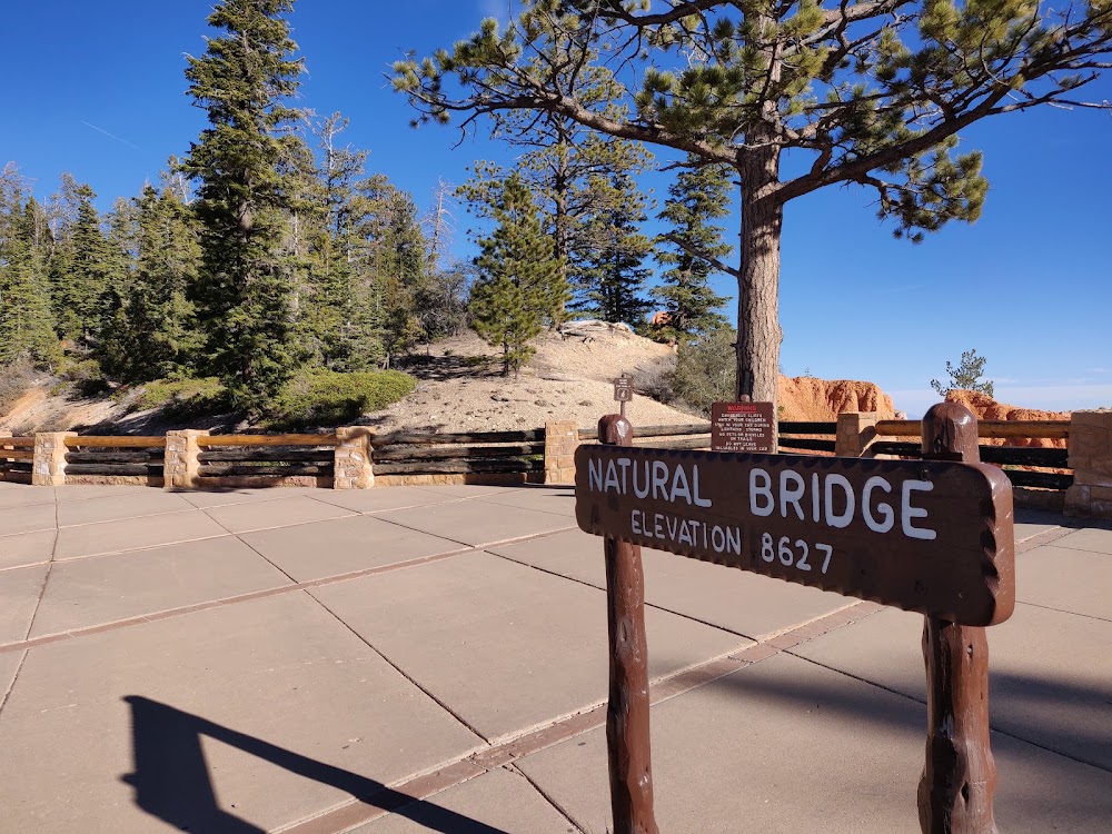 Natural Bridge photo 3