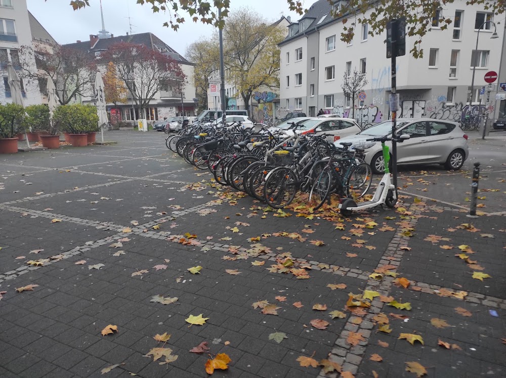 Ehrenfeld photo 3