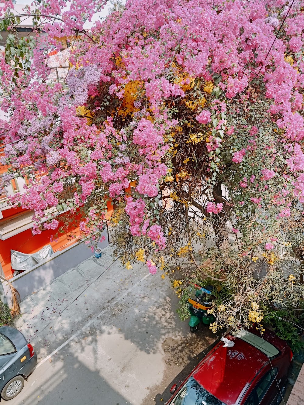 Indira Nagar photo 2