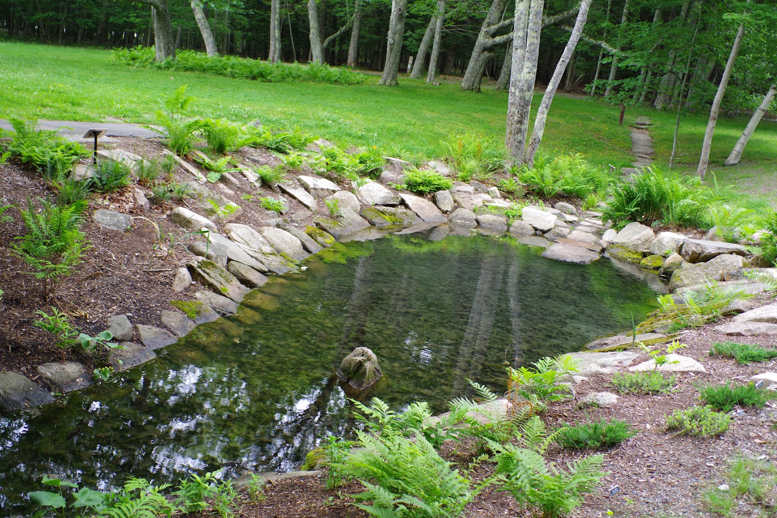 Sieur de Monts Spring photo 3