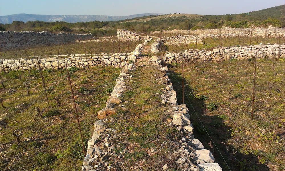 Stari Grad Plain