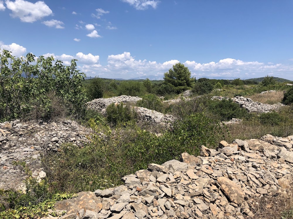 Stari Grad Plain photo 2