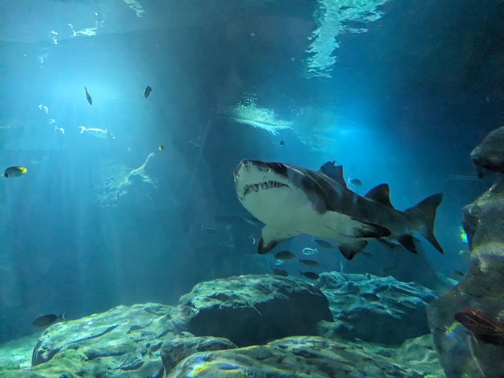 Odysseo Oceanarium