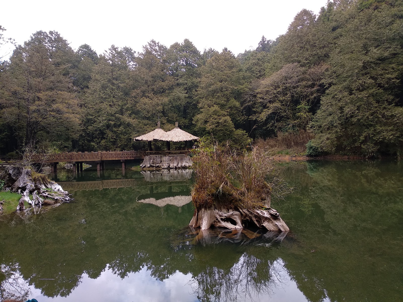 Alishan photo 2