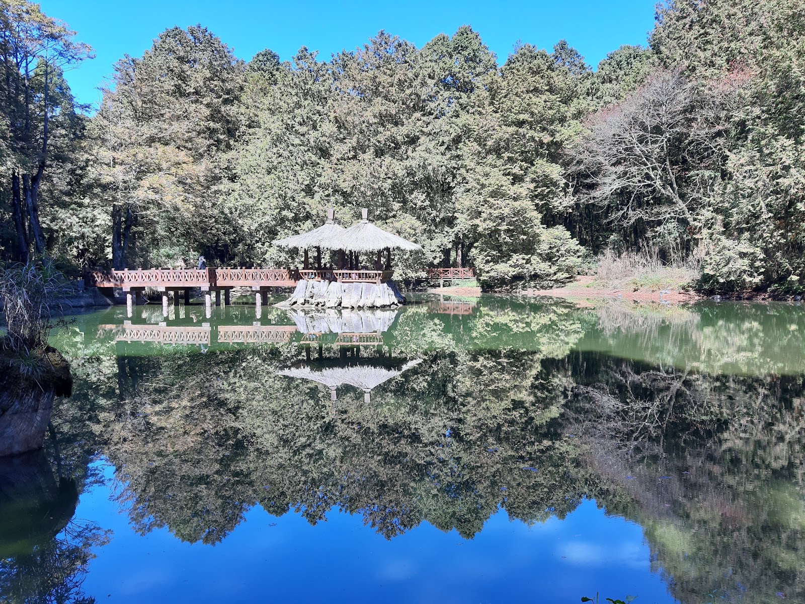 Alishan photo 3