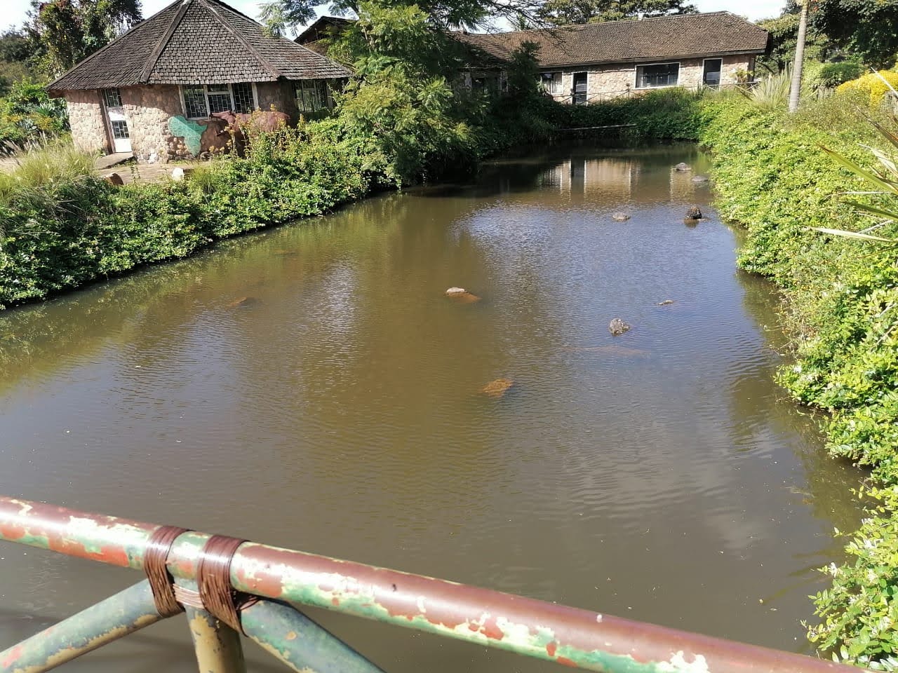 Mamba Village Crocodile Farm