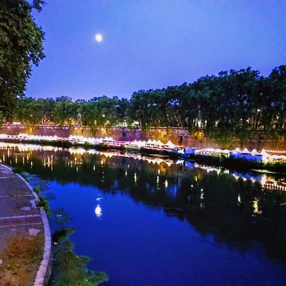 Ponte Sisto photo 3