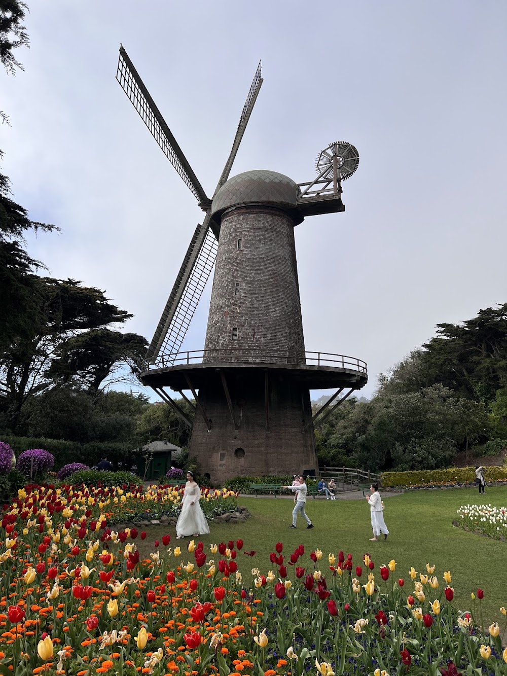 Queen Wilhelmina Tulip Garden