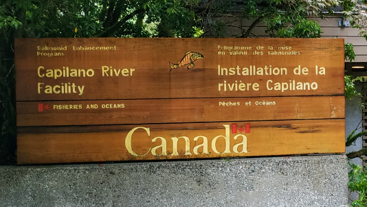 Capilano River Hatchery