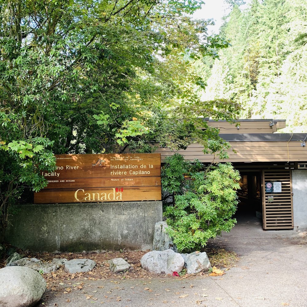 Capilano River Hatchery photo 3