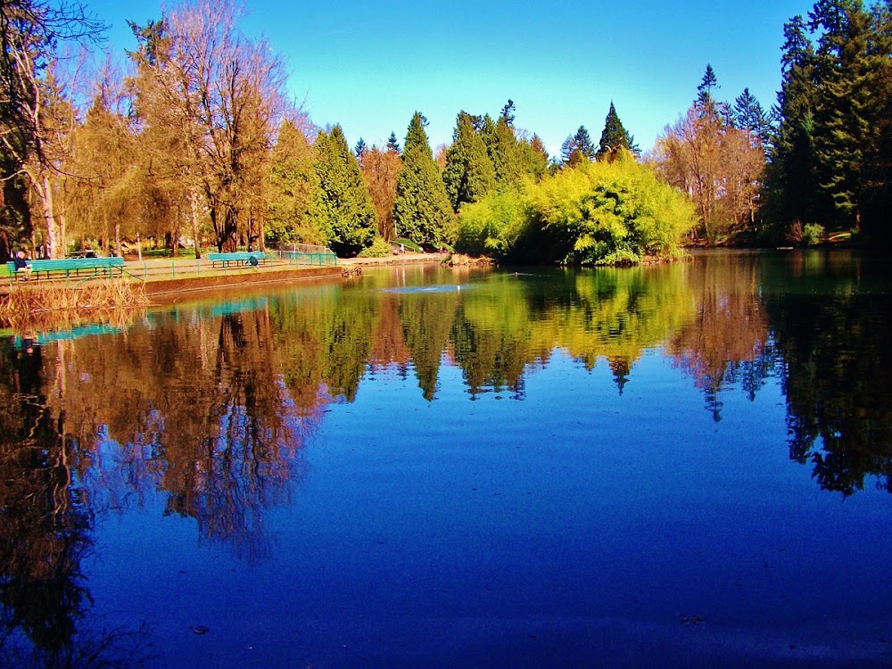 Laurelhurst Park