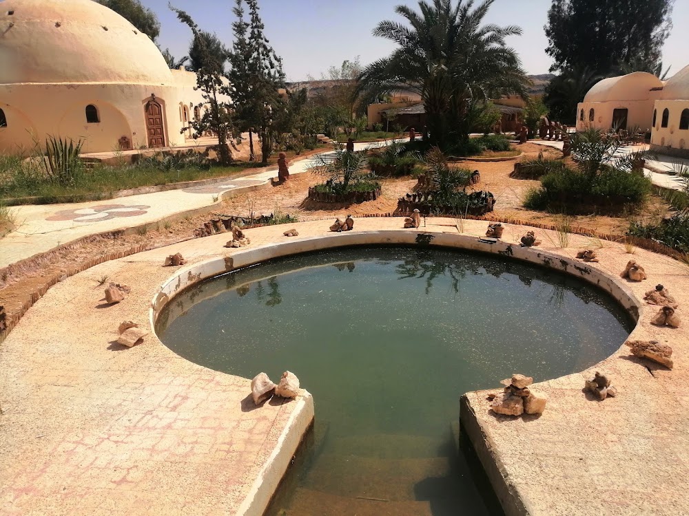 Al Bawiti Oasis photo 3