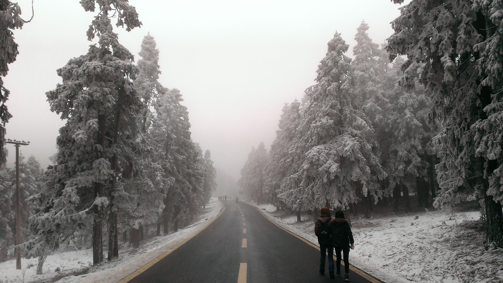 Chongqing Wansheng National Forest Park