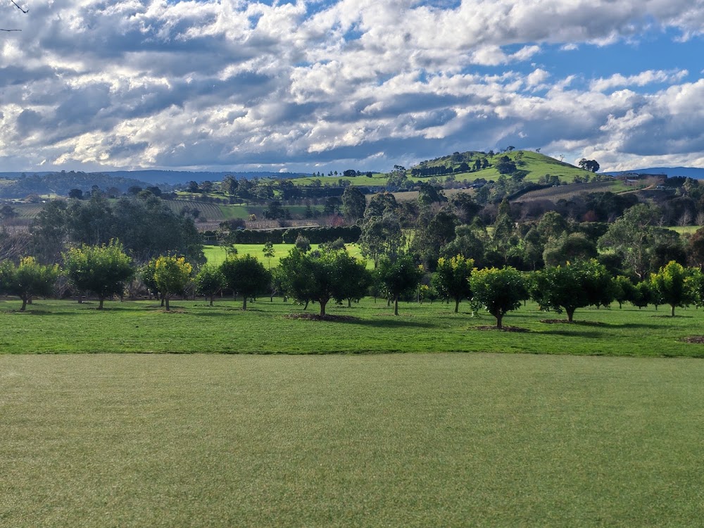 Yarra Valley wine region photo 2