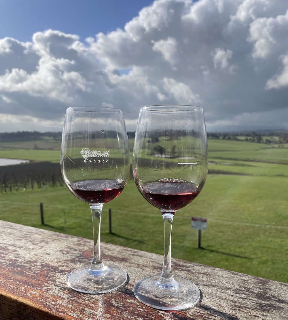 Yarra Valley wine region photo 3