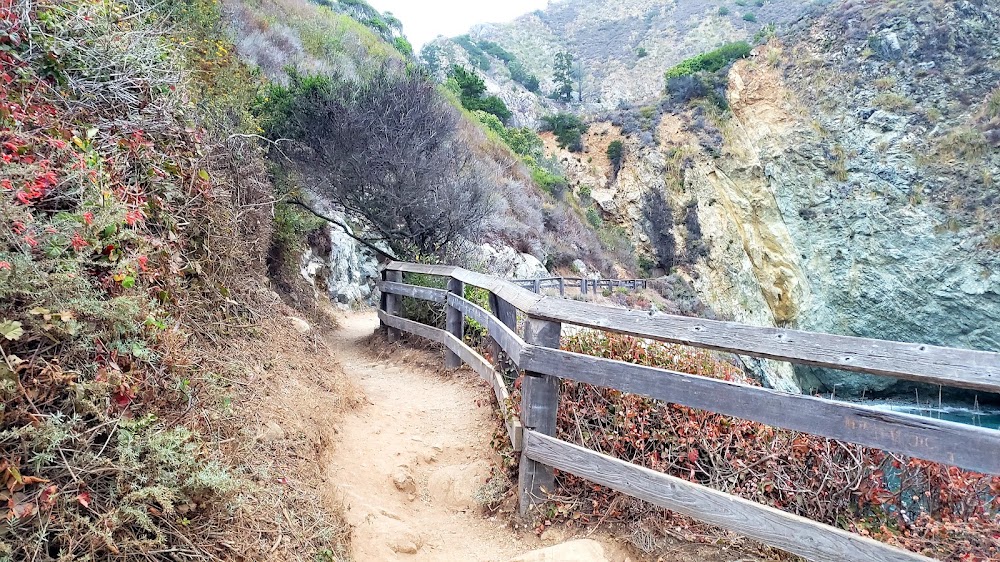 Partington Cove photo 3