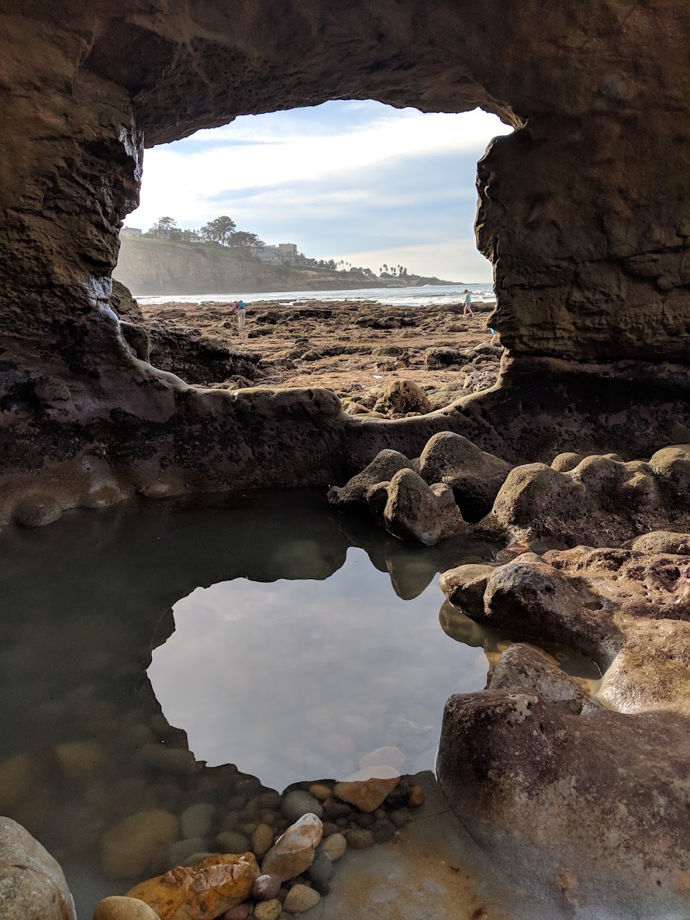 La Jolla Underwater Park
