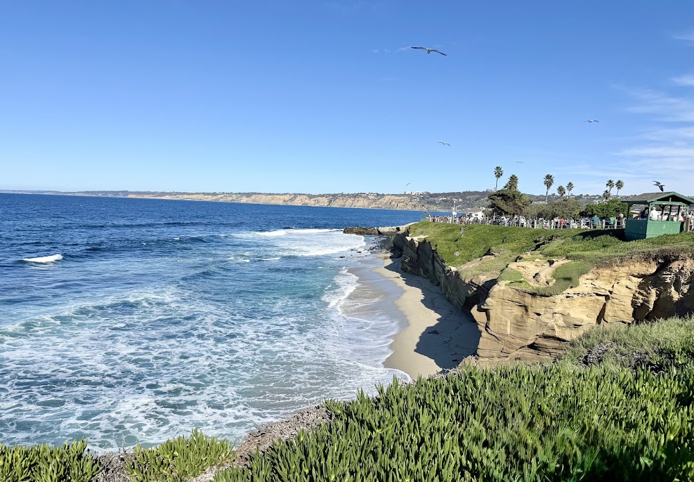 La Jolla Underwater Park photo 2