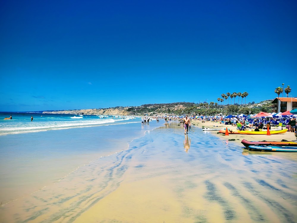 La Jolla Underwater Park photo 3