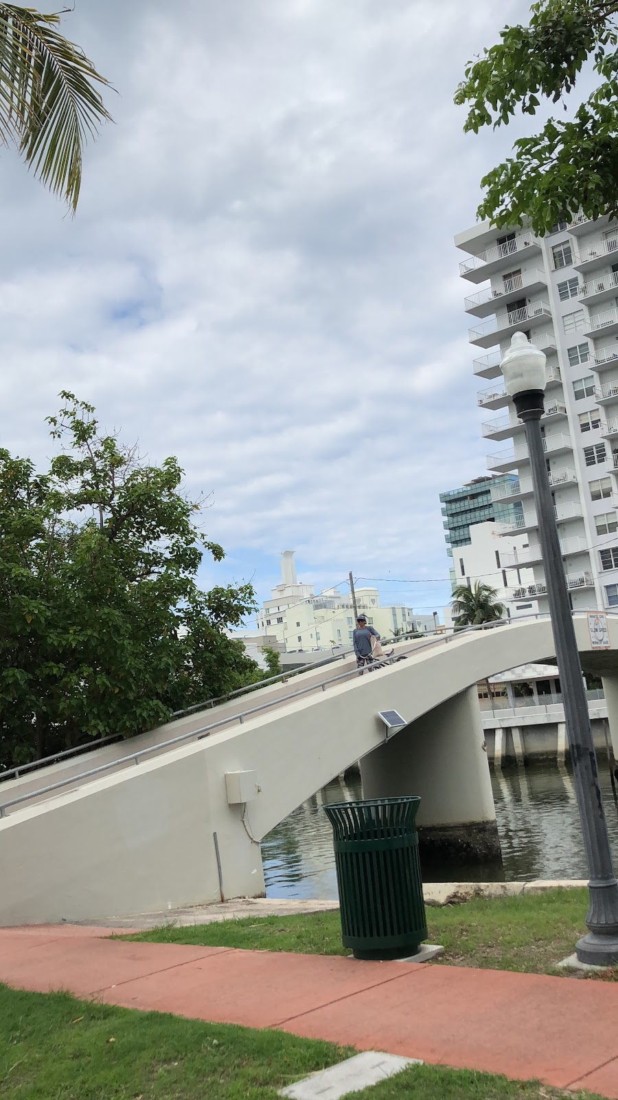 Pedestrian Bridge photo 3