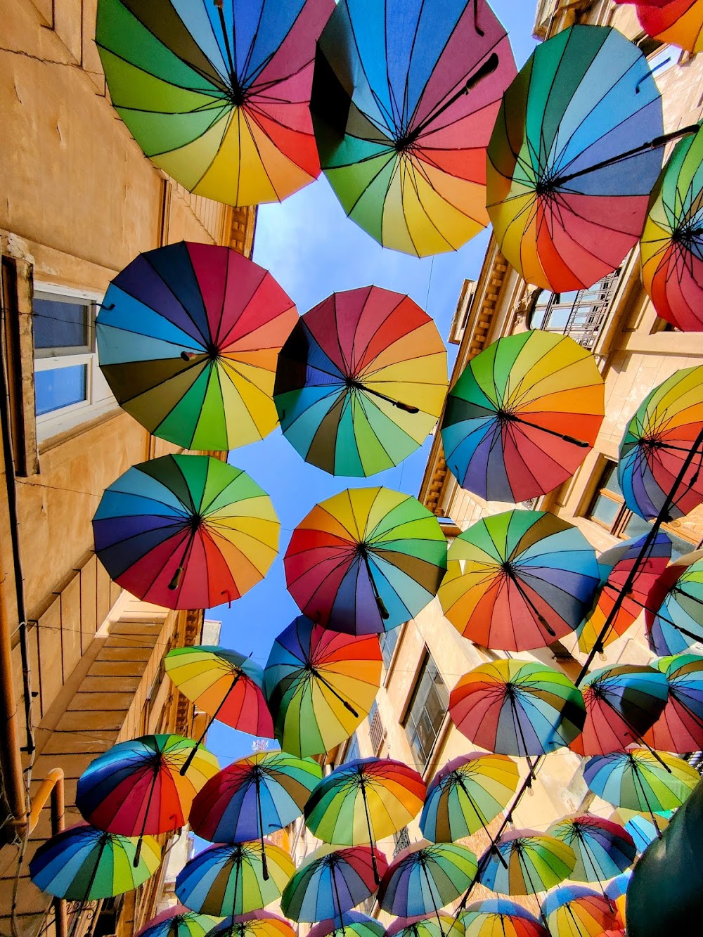 Umbrella Street