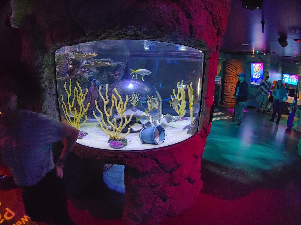 SEA LIFE Orlando Aquarium photo 2
