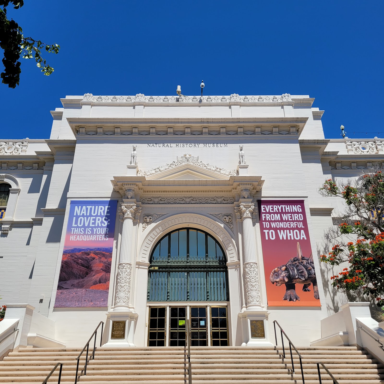 San Diego Natural History Museum photo 2