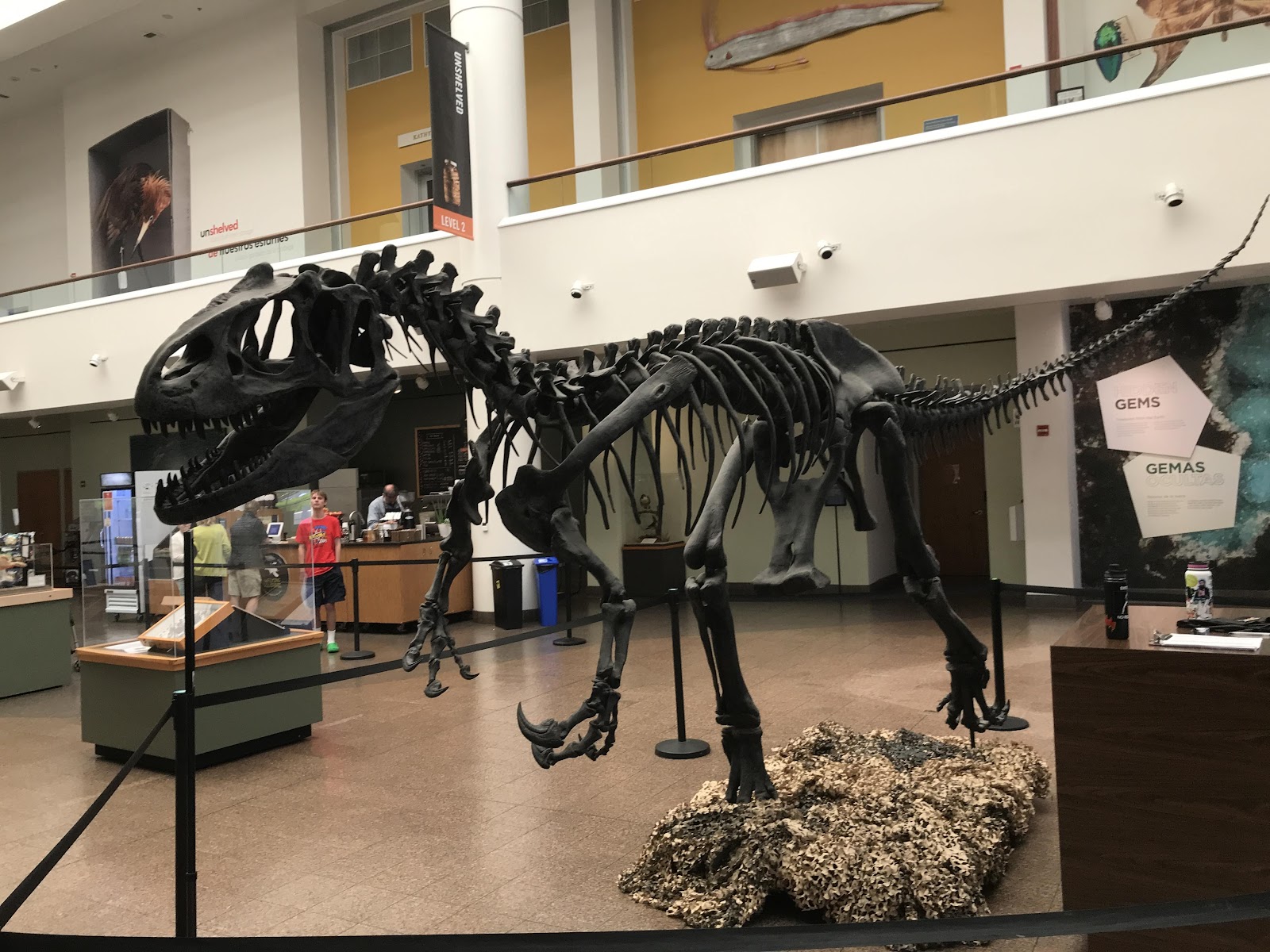 San Diego Natural History Museum photo 3