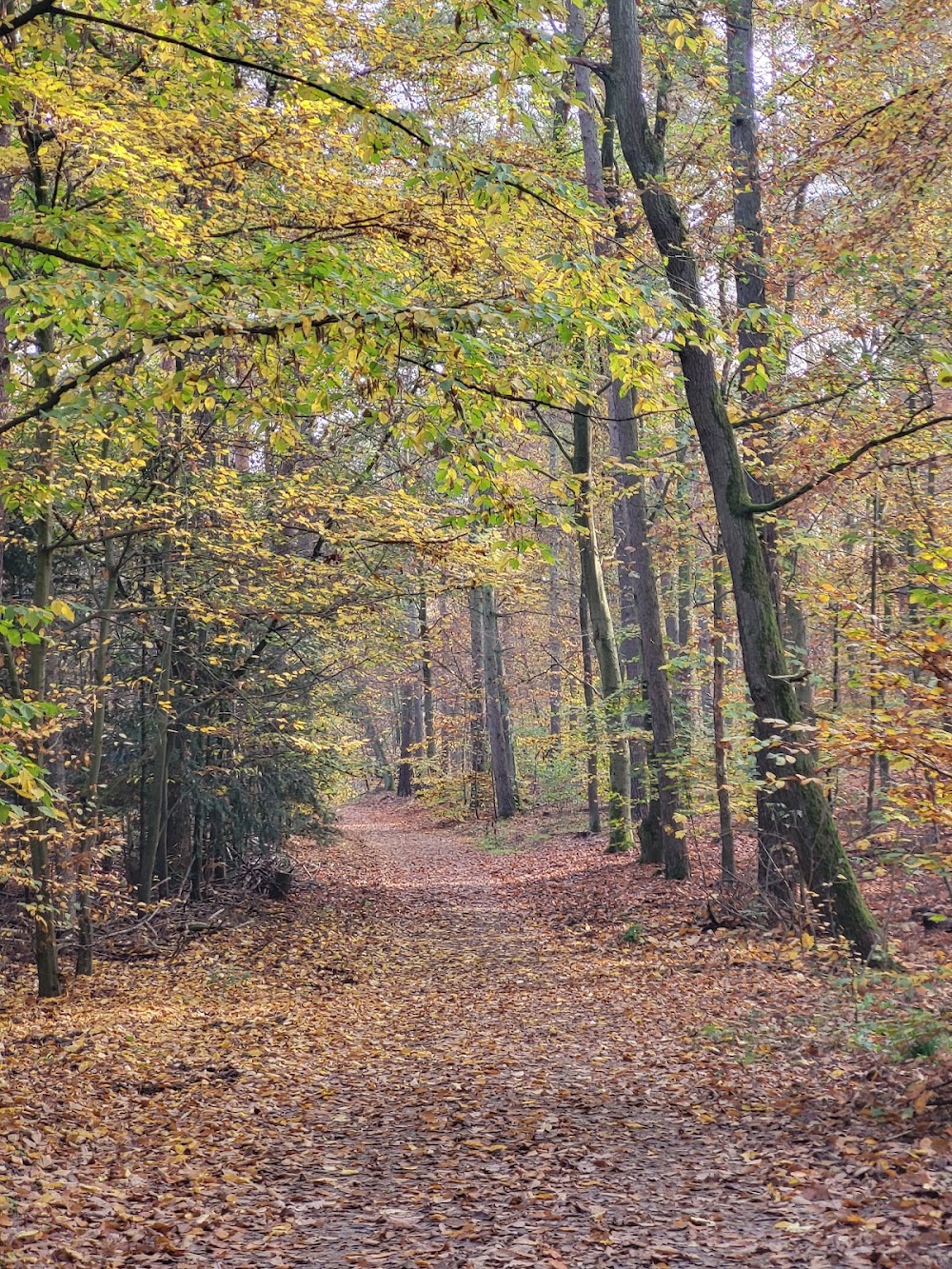 Grunewald Gate